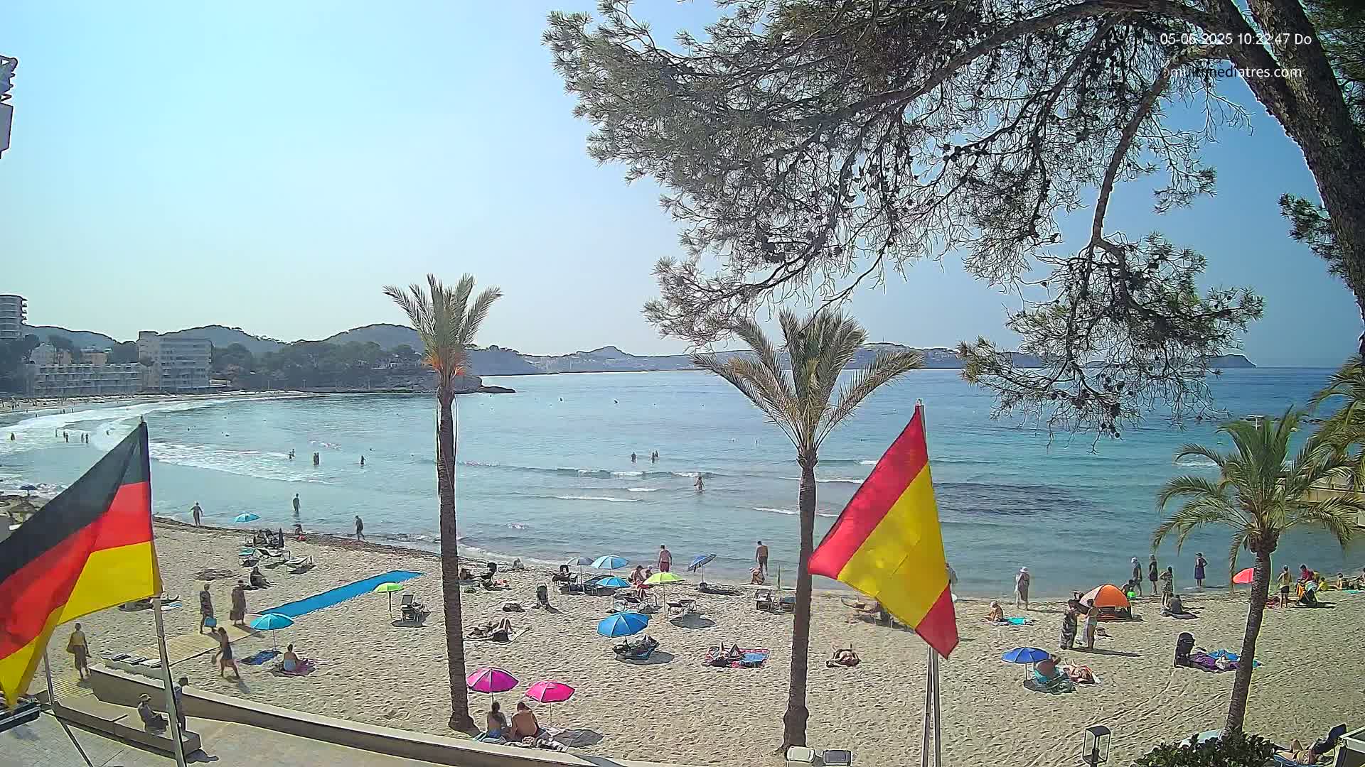 A sunny beach scene shows a sandy shore with people sunbathing and swimming in a calm, clear ocean under a bright blue sky, partially obscured by palm trees and overhanging branches.