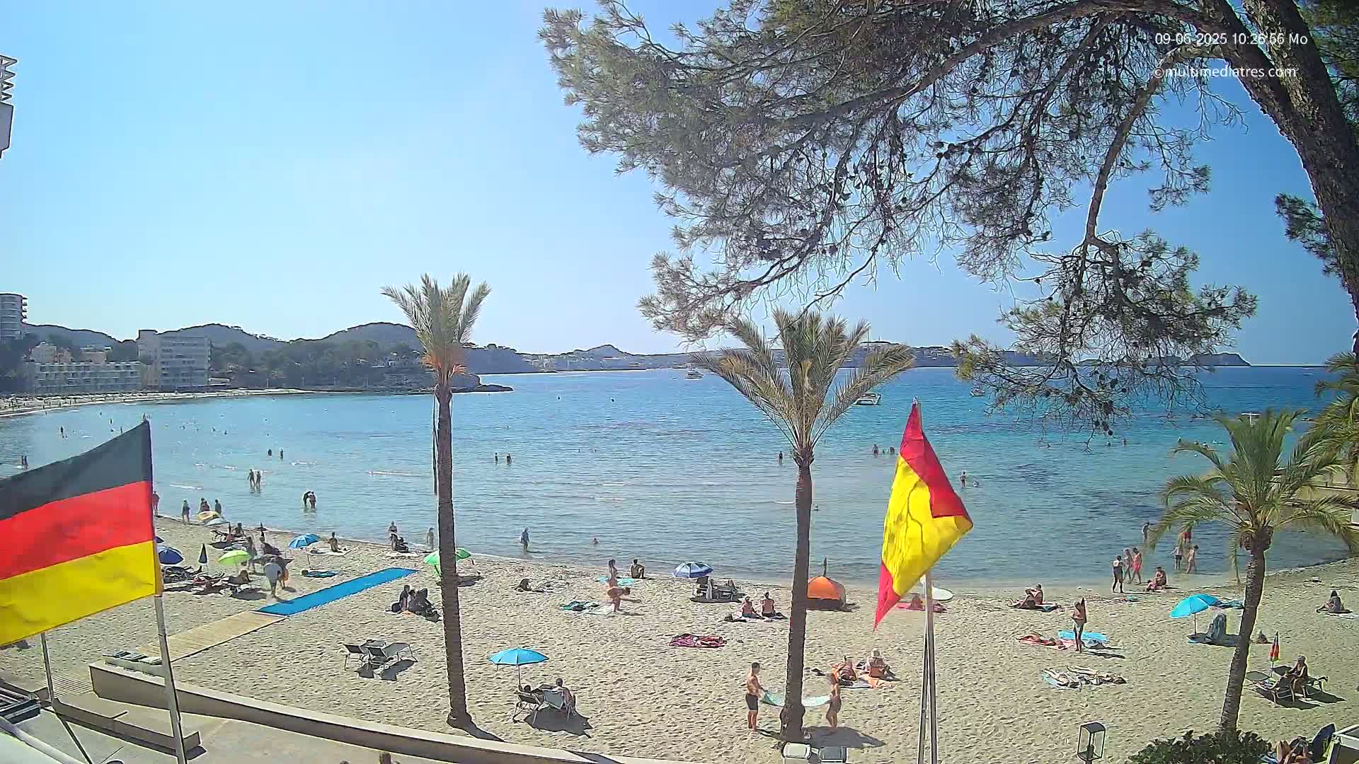 A sunny beach scene shows a sandy shore with people relaxing and swimming in a calm, turquoise bay, partially obscured by palm trees and pine branches.