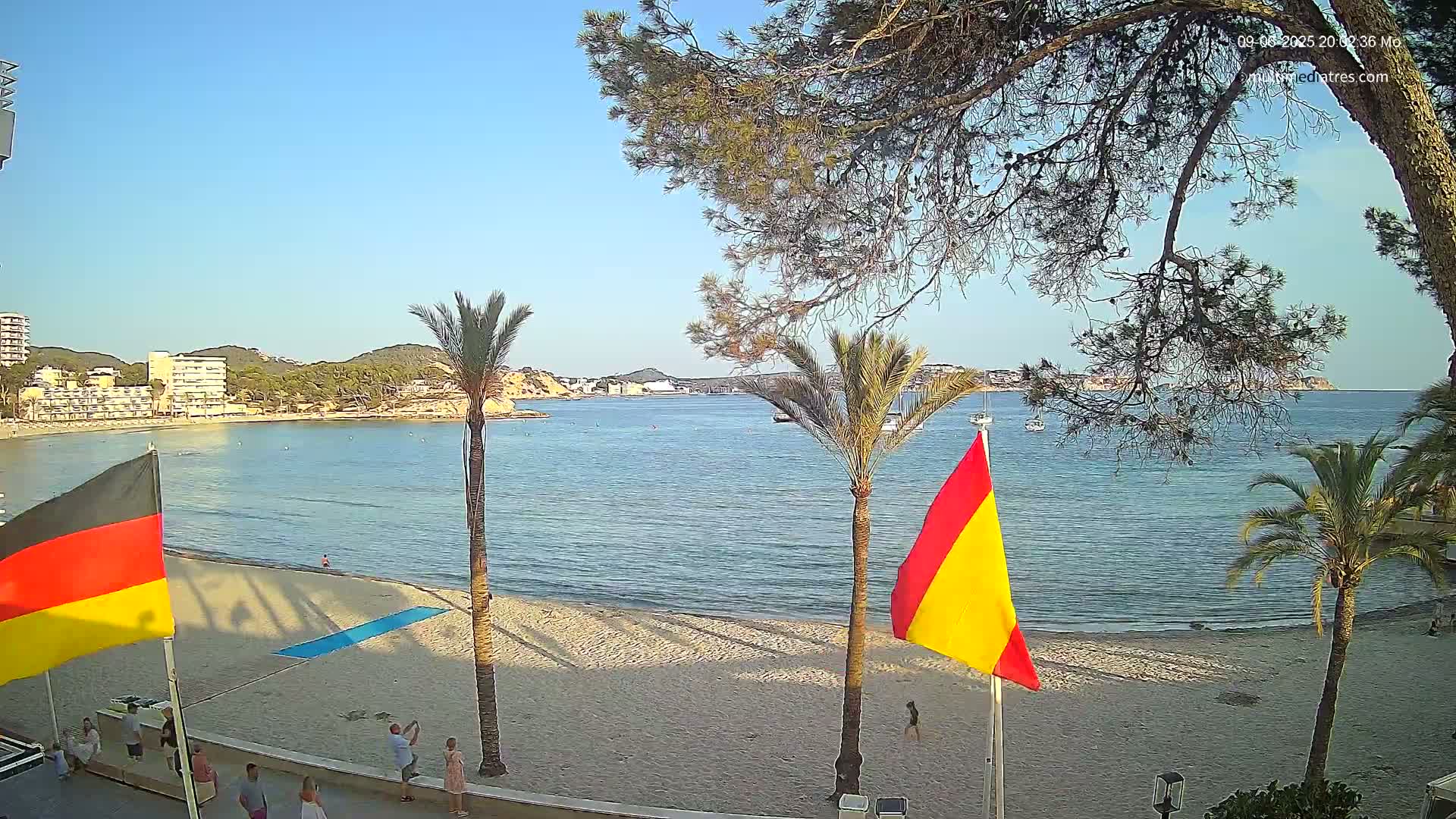 A sandy beach with calm water, palm trees, and flags, under a clear sunny sky.