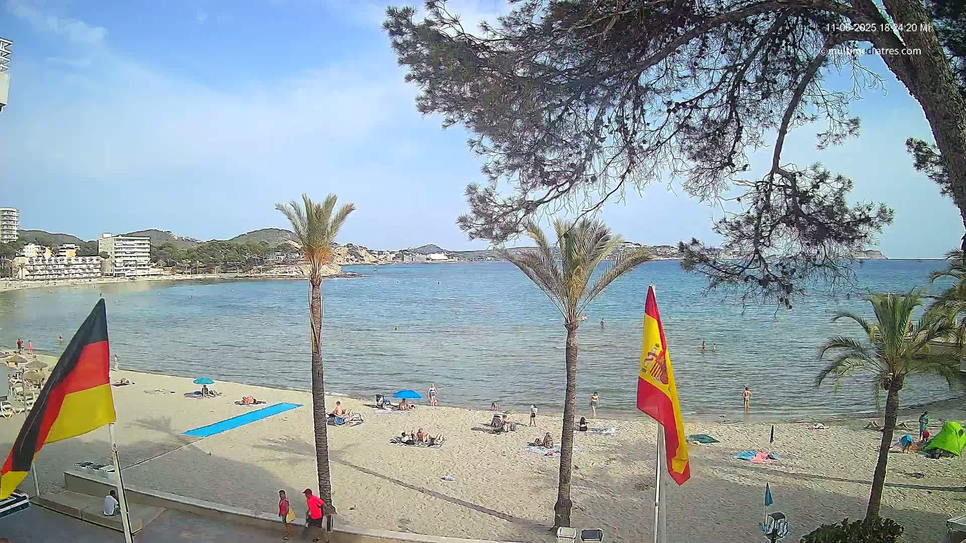 A sunny beach scene shows calm, blue water, a sandy shore with scattered beachgoers, palm trees, and flags planted in the sand.