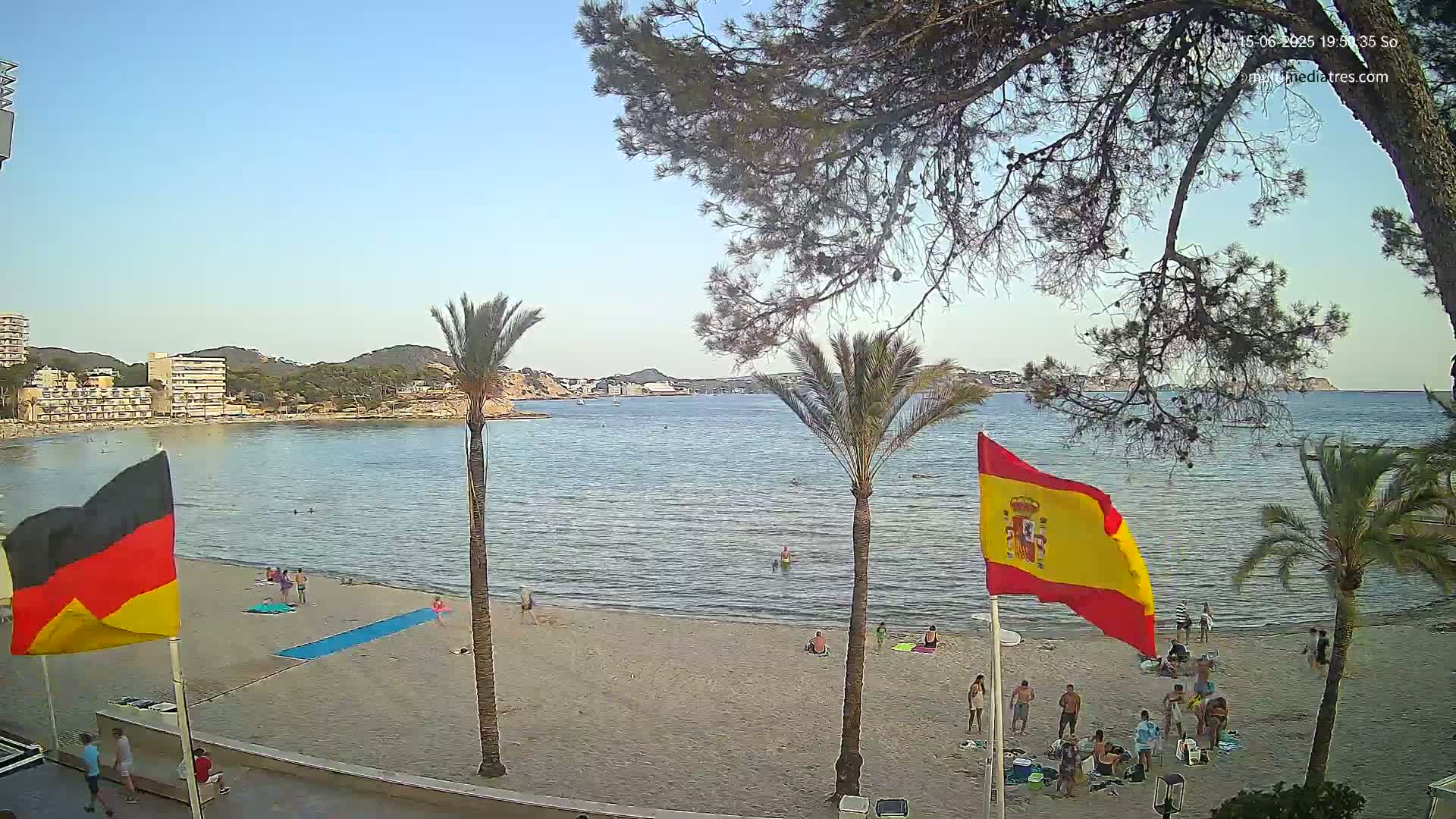 A sandy beach with calm water, palm trees, and several people enjoying the sunny day.