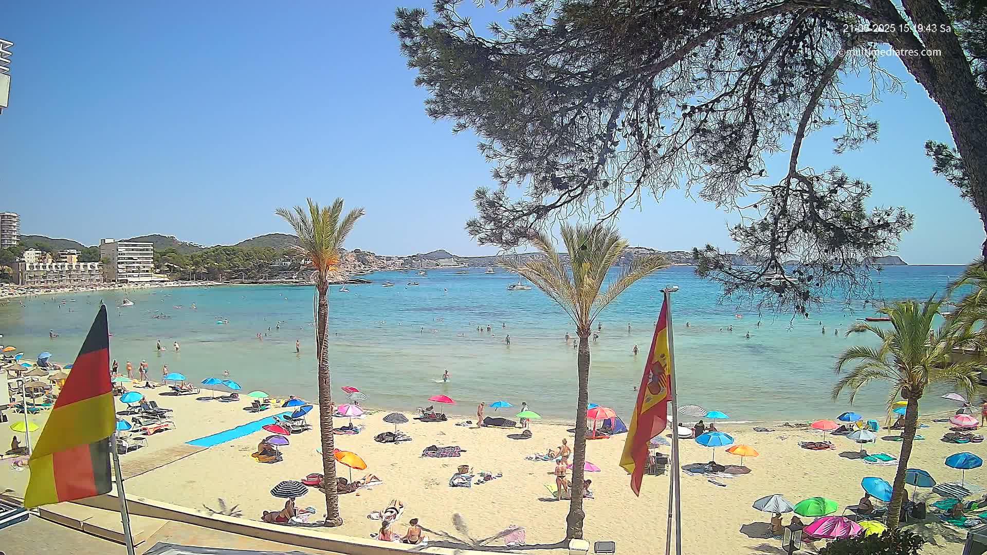 A sandy beach with many people and colorful umbrellas is situated next to calm, clear turquoise water, under a sunny sky, with palm trees and pine trees in the foreground.