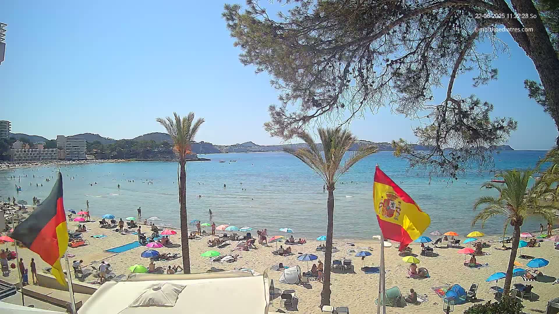 A sunny beach scene shows a calm, clear ocean with swimmers, numerous colorful beach umbrellas, and palm trees lining the sandy shore.