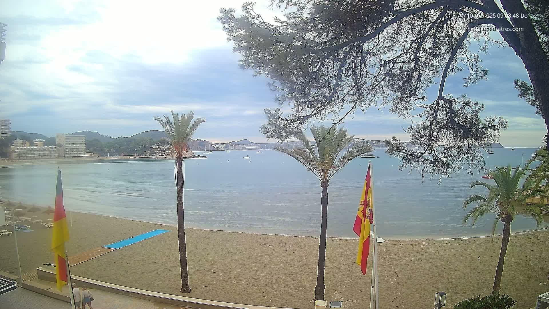 A sandy beach with palm trees and calm, light-blue water under a mostly cloudy sky is seen from a slightly elevated vantage point.