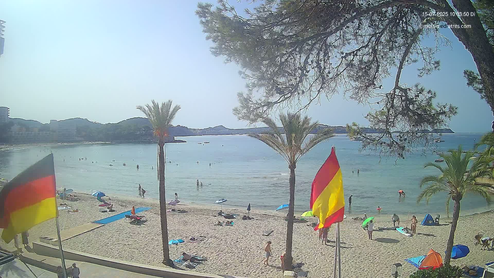 A sunny beach scene shows calm, clear water, a sandy shore with scattered sunbathers and umbrellas, and palm trees under a mostly clear sky.