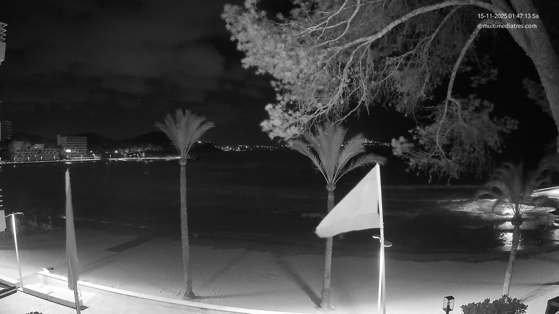 A black and white nighttime scene reveals a windy beach with palm trees and a flag flapping, waves gently washing ashore, and distant city lights under a cloudy sky.