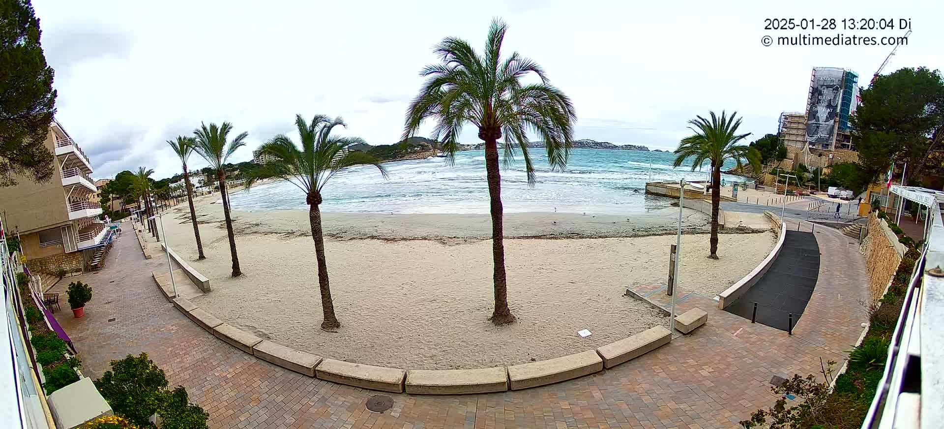 A sandy beach with palm trees and buildings is visible on an overcast day, with waves gently lapping the shore.