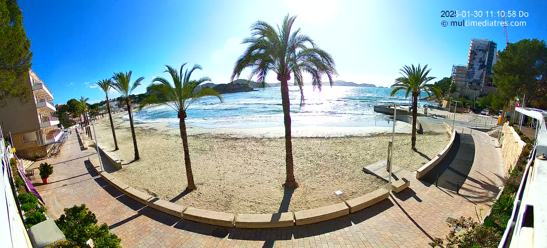 A sandy beach with palm trees and a paved walkway is seen on a sunny day, with calm waves lapping the shore.