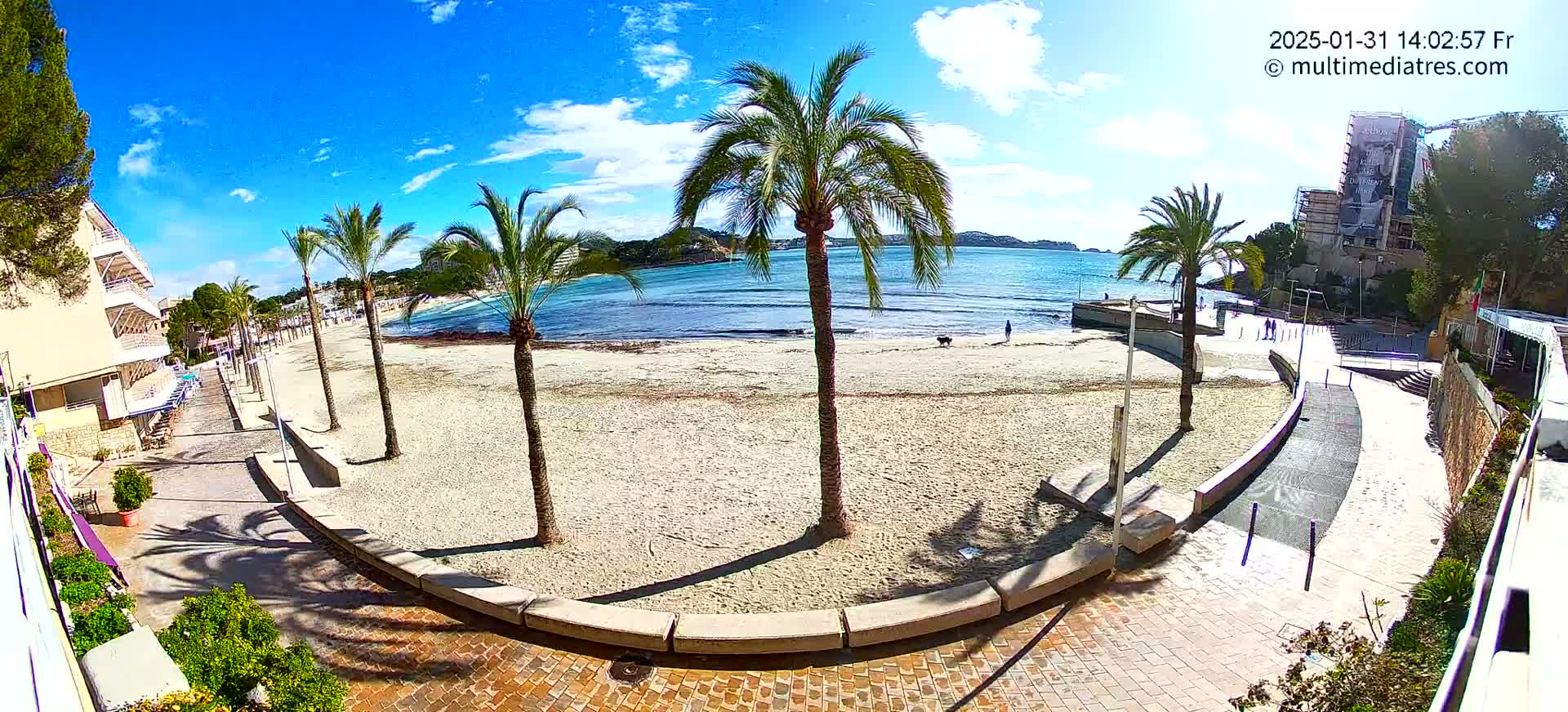 A sandy beach with palm trees is seen on a sunny day, with a calm ocean in the background and a paved walkway leading to buildings.