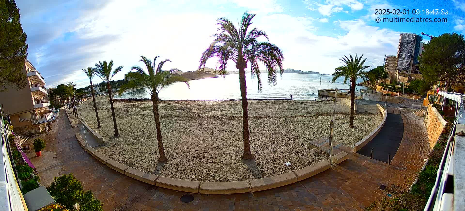 A sandy beach with several palm trees is visible from a brick walkway on a partly sunny day, overlooking calm water and distant buildings.