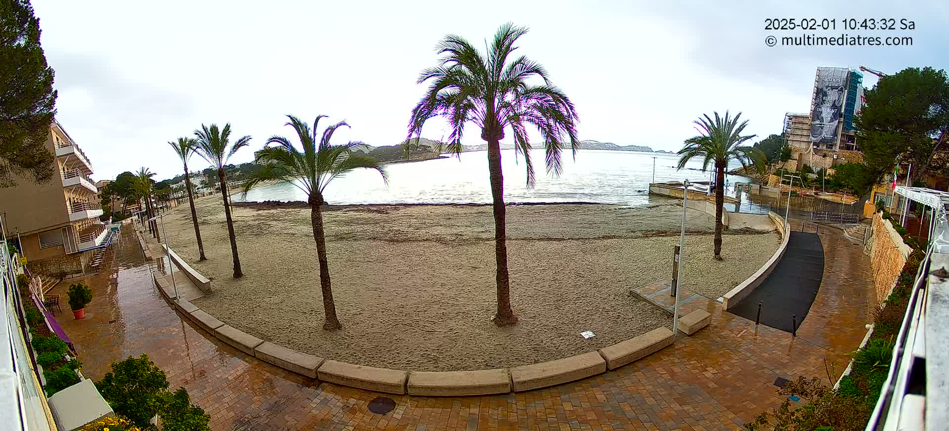 A sandy beach with palm trees is seen from above on an overcast day, with wet paving stones leading down to the water's edge.