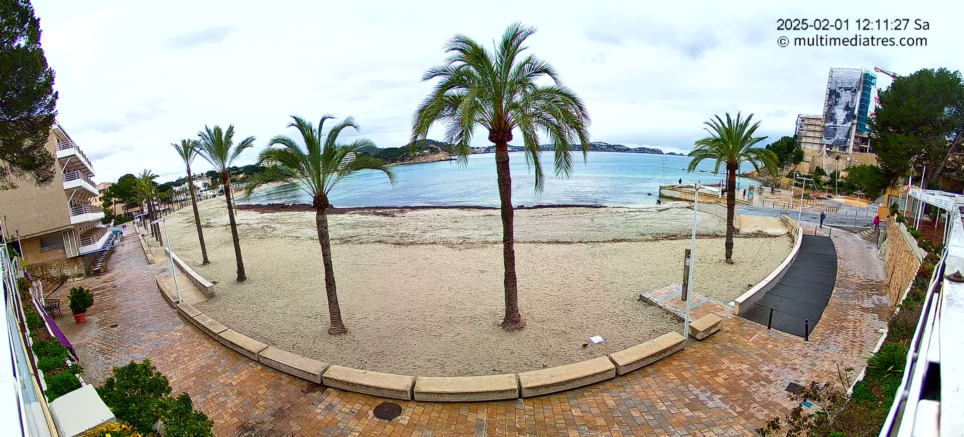 A sandy beach with several palm trees is visible from a paved walkway overlooking a calm body of water under an overcast sky.