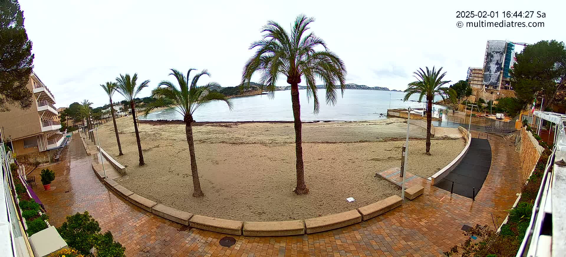 A wet, sandy beach with several palm trees is seen from a slightly elevated vantage point, overlooking a paved walkway and buildings in the background under an overcast sky.
