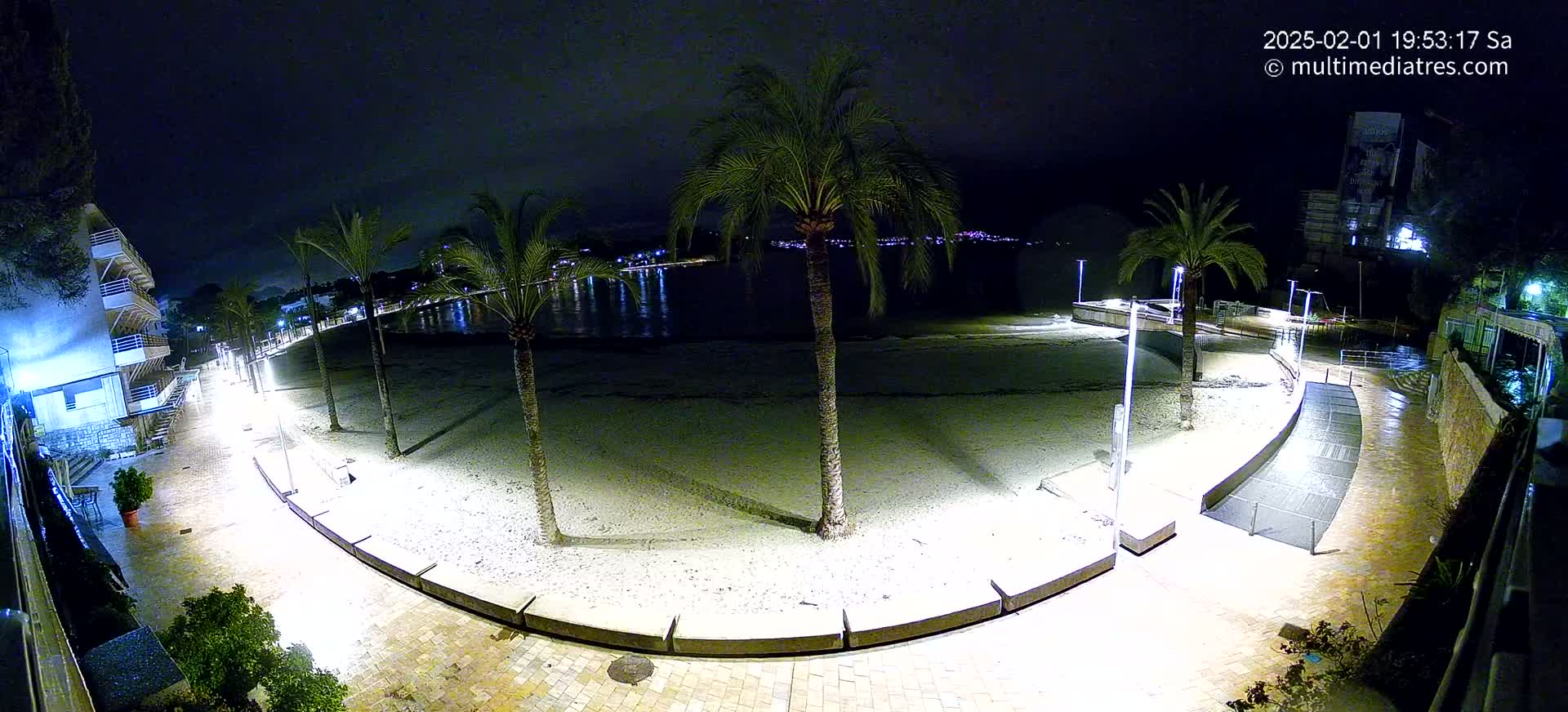 A nighttime view of a beachside promenade, illuminated by lights, with palm trees and a calm body of water in the background.