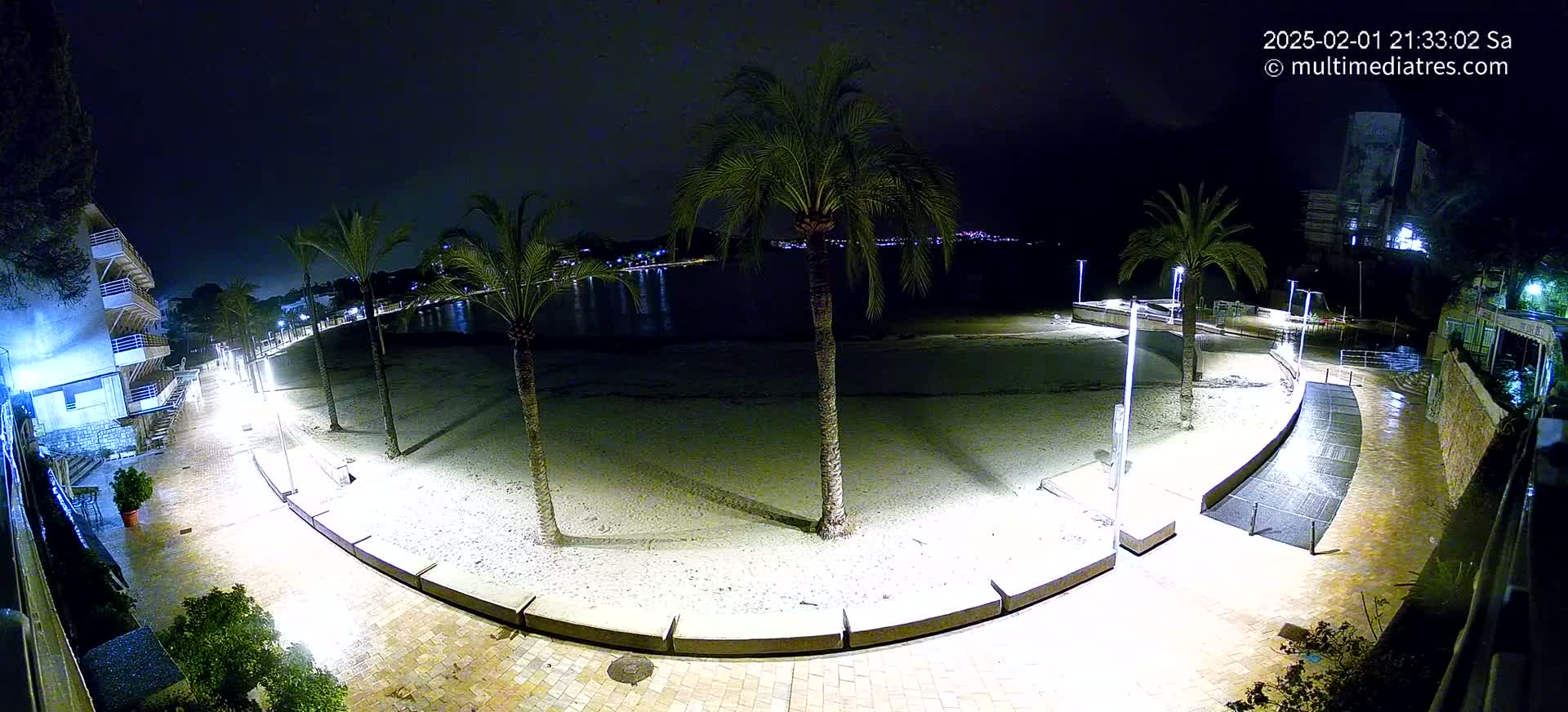 A nighttime view of a sandy beach, palm trees, and a paved walkway illuminated by lights, with a calm body of water in the background under a dark sky.