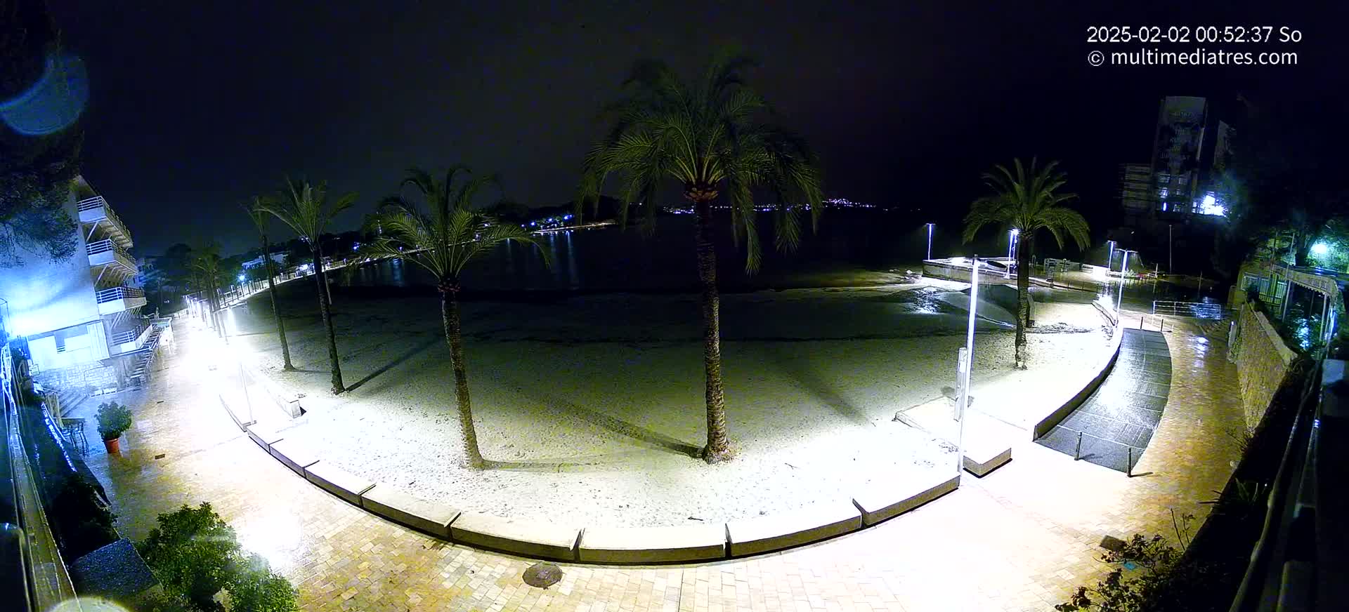 A nighttime view of a beach at a waterfront location with palm trees lining a paved walkway, illuminated by lights, with wet pavement suggesting recent rain.