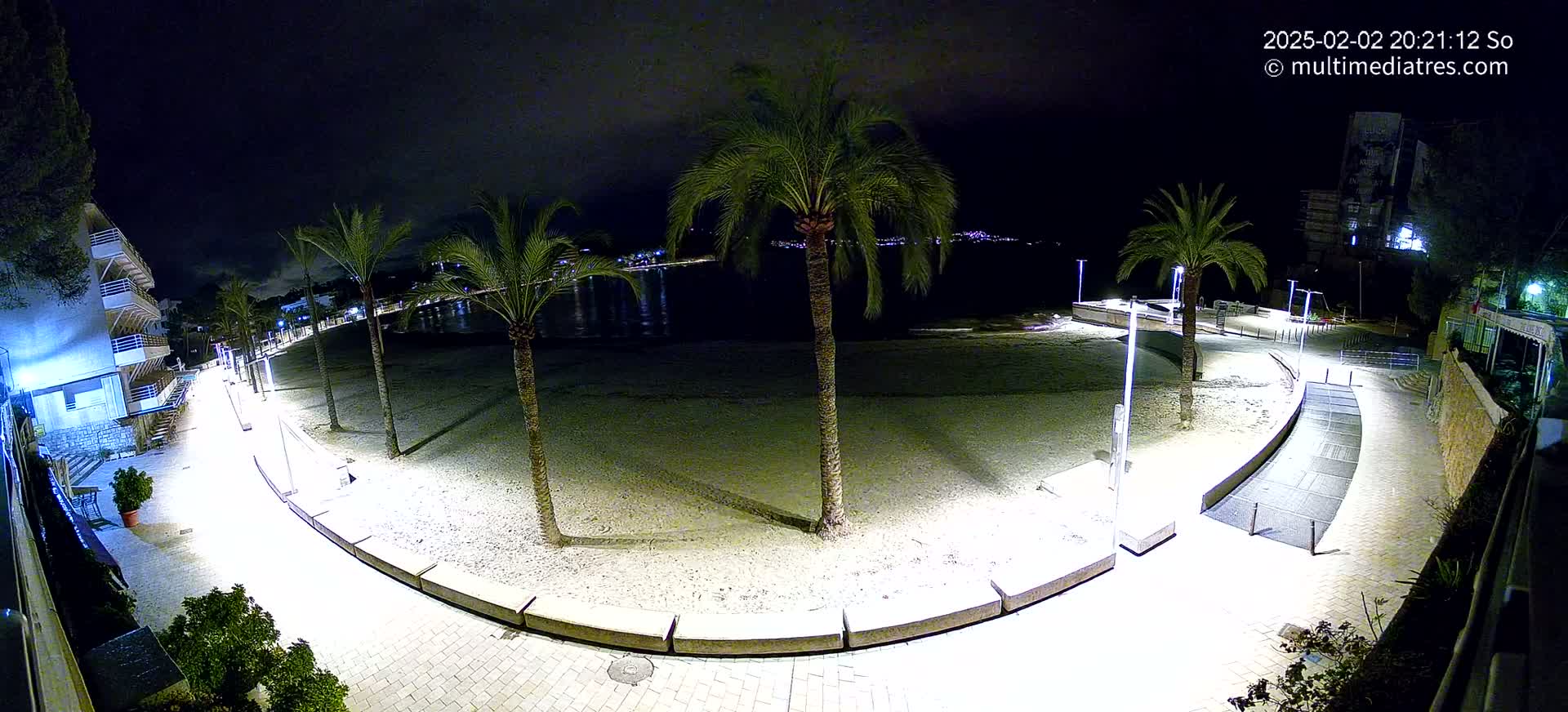 A nighttime view of a beachside promenade illuminated by lights, with palm trees lining the sandy beach and a calm body of water in the background.