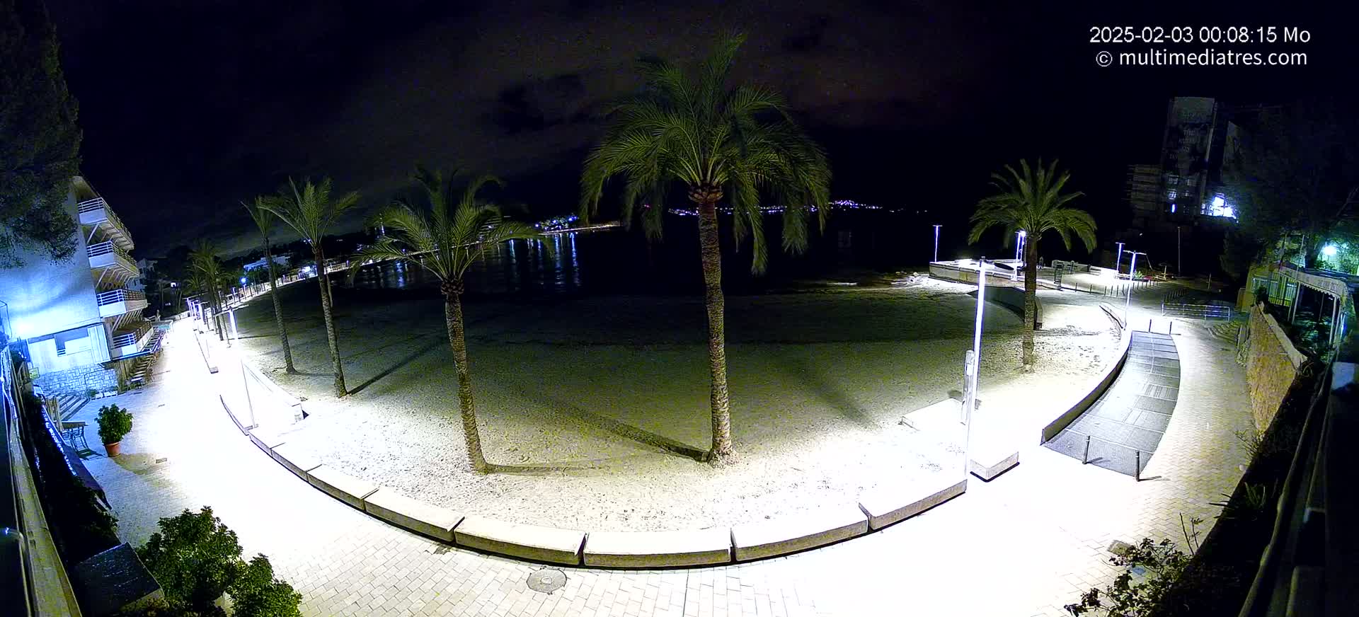 A nighttime view of a beachside promenade, lit by artificial lights, with palm trees lining the sandy beach and a calm body of water visible in the background.