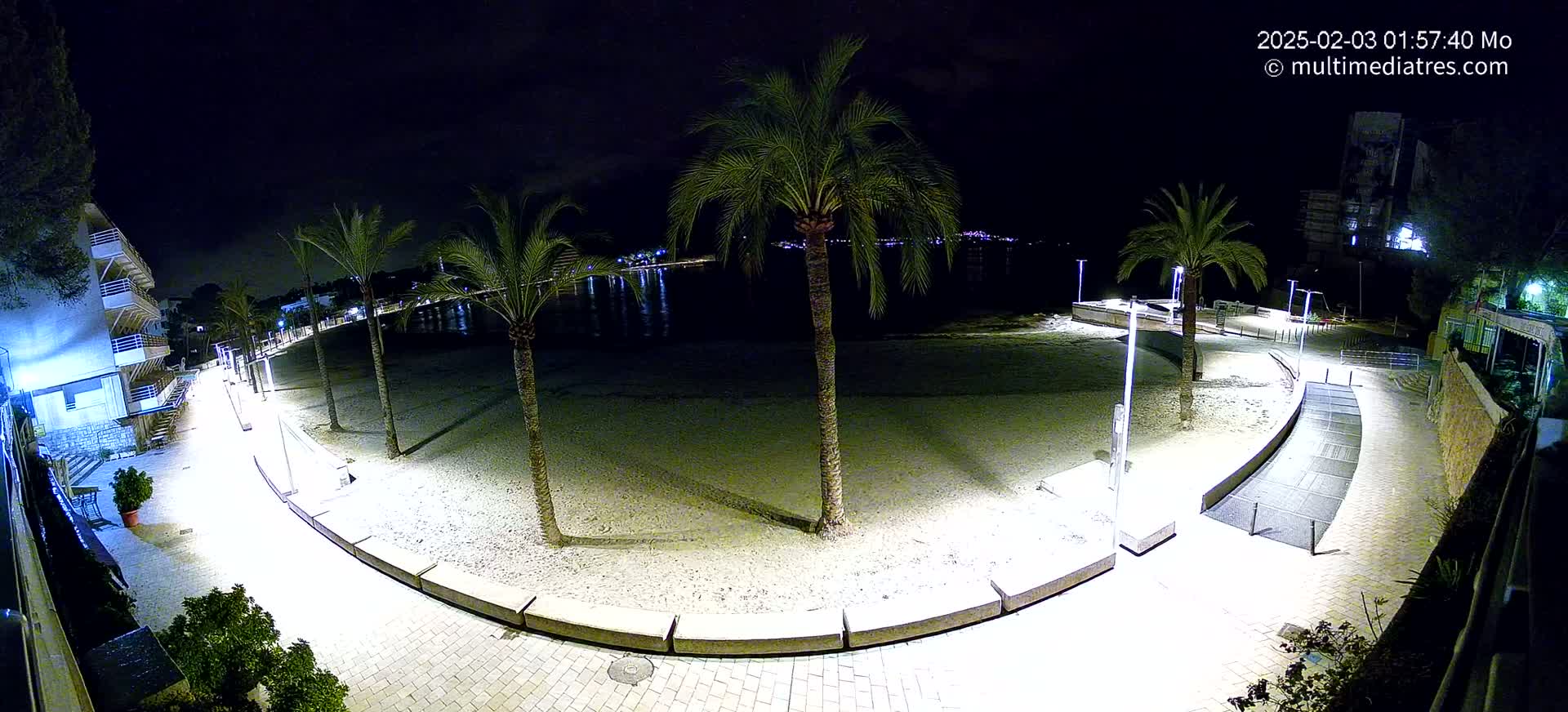 A nighttime view of a beachside promenade, illuminated by lights, with palm trees lining a sandy beach and calm water visible in the background.