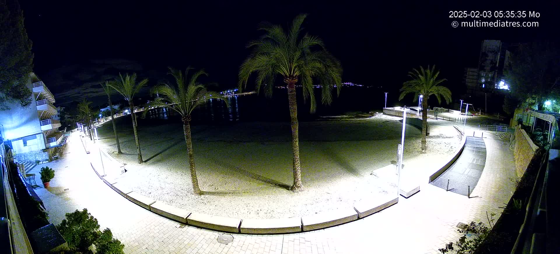 A nighttime, illuminated view of a sandy beach with palm trees lining a curved walkway beside a calm body of water.