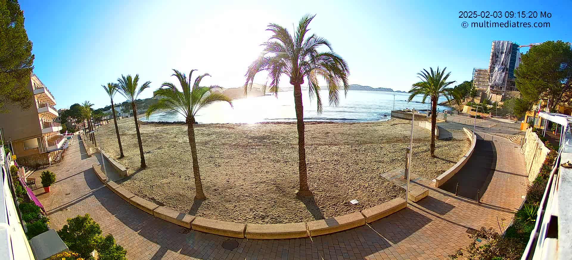 A sandy beach with palm trees lining a paved walkway next to a calm, sunny ocean.