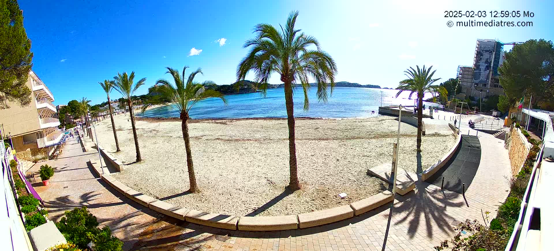 A mostly empty sandy beach with palm trees lines a paved walkway next to a calm, blue sea on a sunny day.