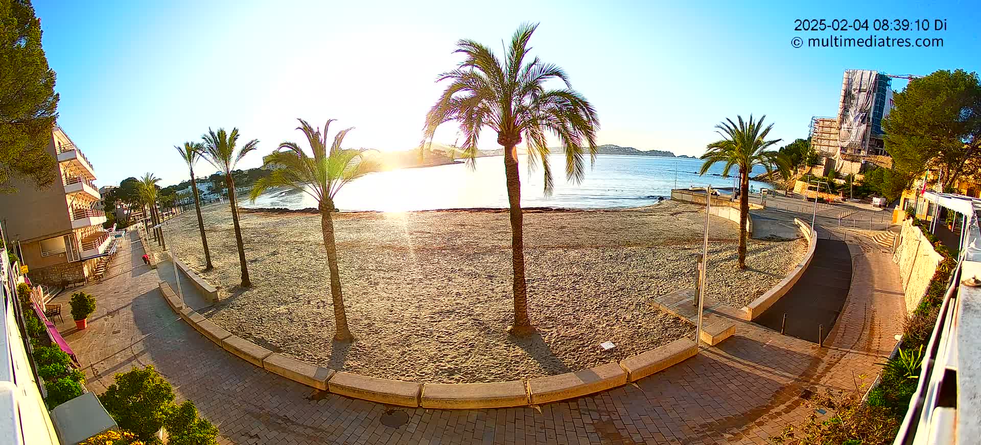 A sandy beach at sunrise, bordered by palm trees, a paved walkway, and buildings, with calm water visible in the background.