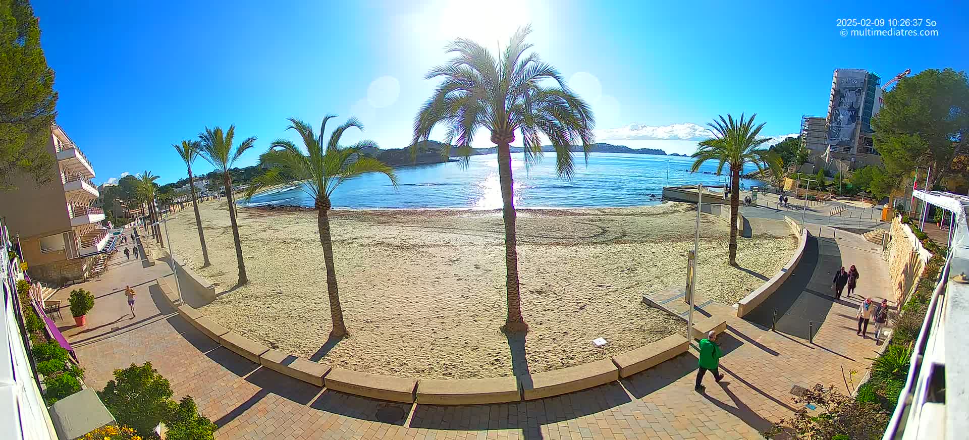 A sunny day at a beach with palm trees lining a paved walkway, overlooking calm blue water and a sandy shore with a few people walking.