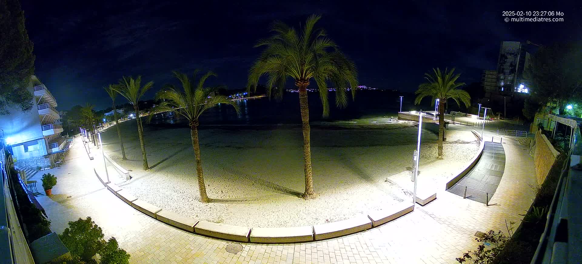 A nighttime view of a sandy beach with palm trees lining a paved walkway, illuminated by artificial lights, under a dark, clear sky.