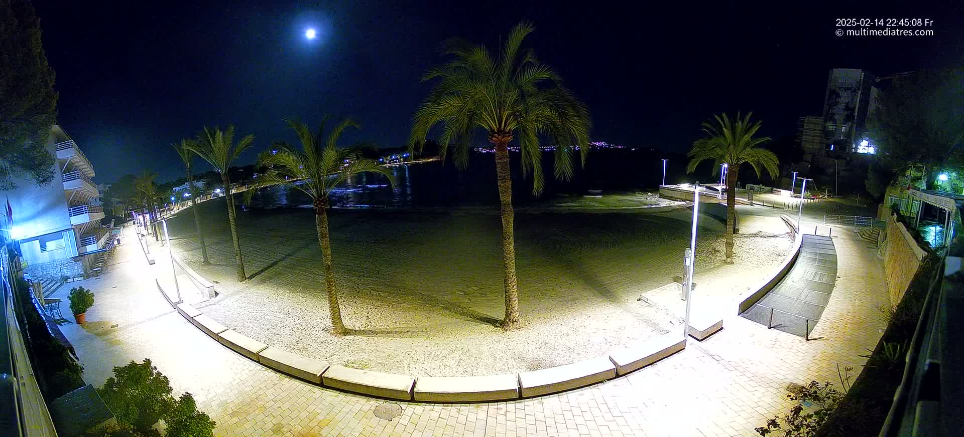 A moonlit beach at night, illuminated by artificial lights, features palm trees and a paved walkway curving alongside the sandy shore.