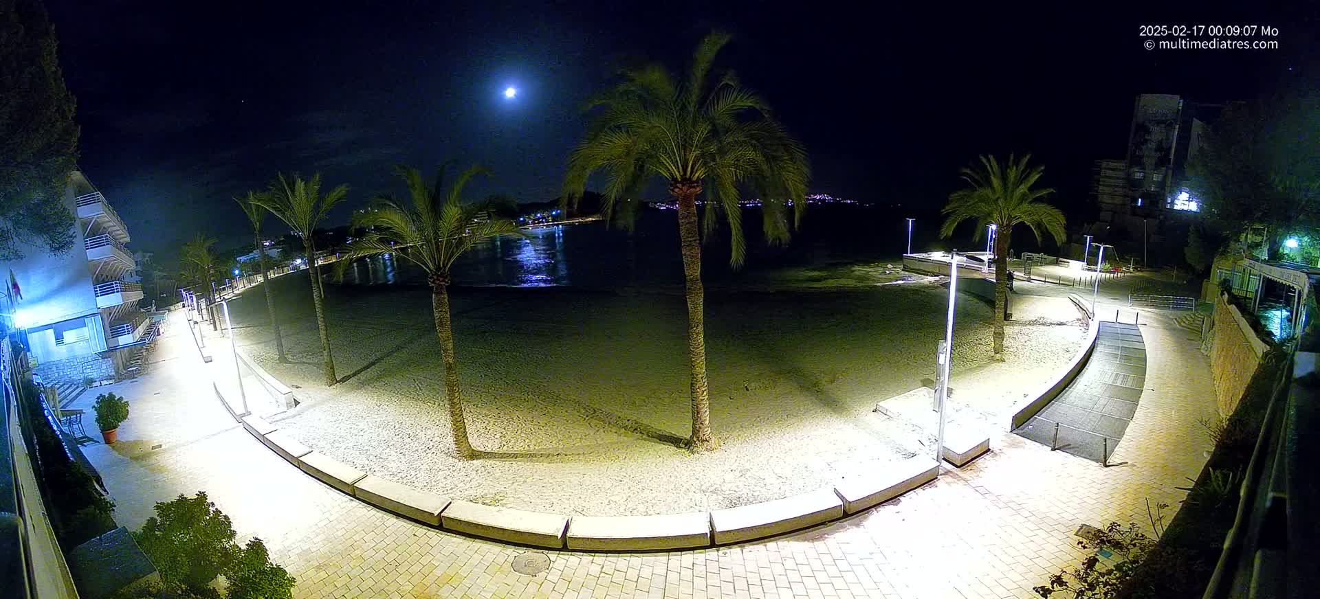 A moonlit beach at night, illuminated by lampposts along a paved walkway, with palm trees lining the sand and buildings visible in the background.