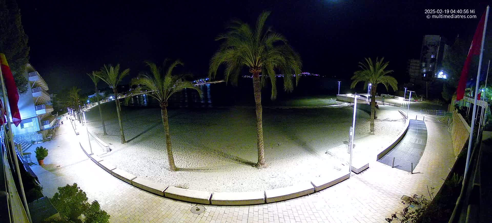 A nighttime view of a beach at night, illuminated by artificial lights, showing palm trees, a paved walkway, and calm water.
