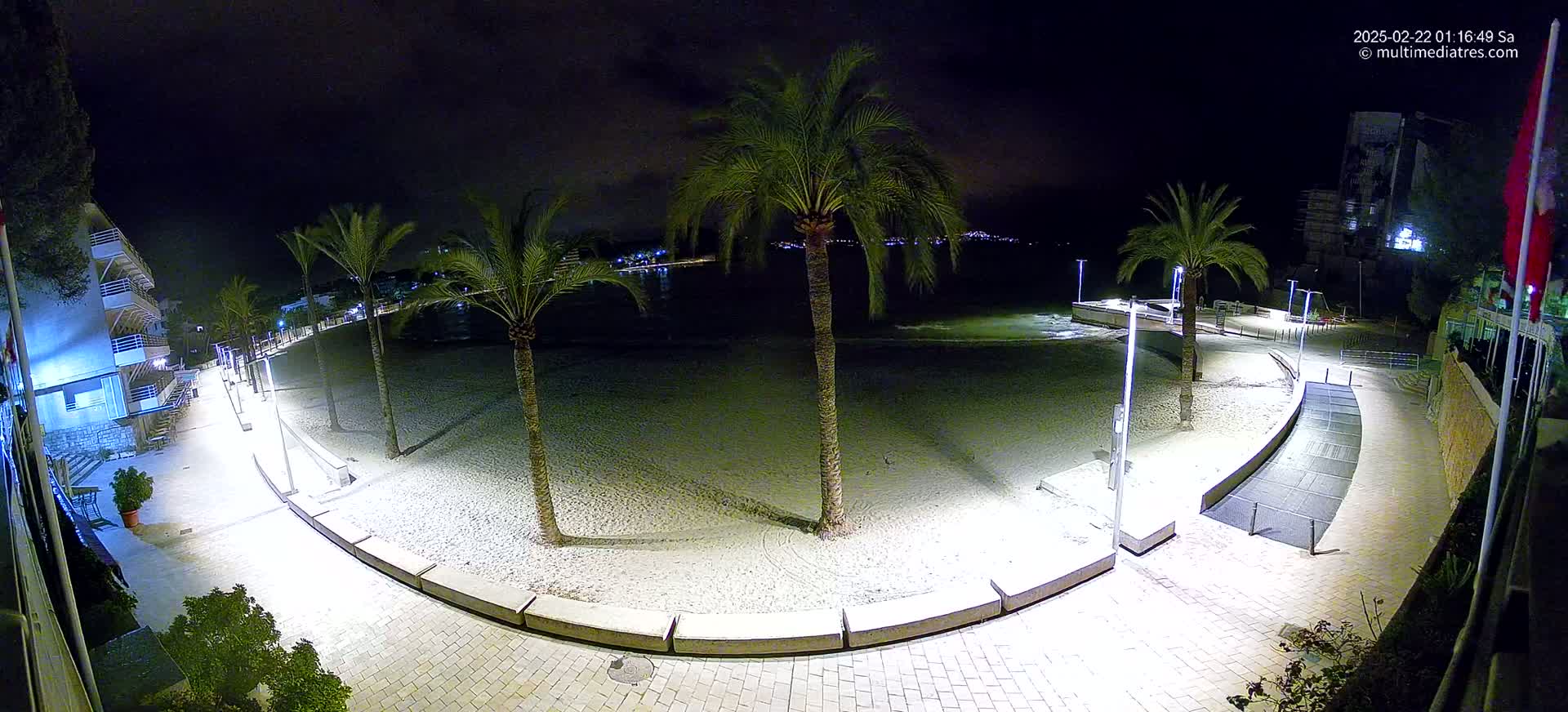 A nighttime, overhead view of a sandy beach bordered by a paved walkway lined with palm trees and lights, overlooking a calm body of water.