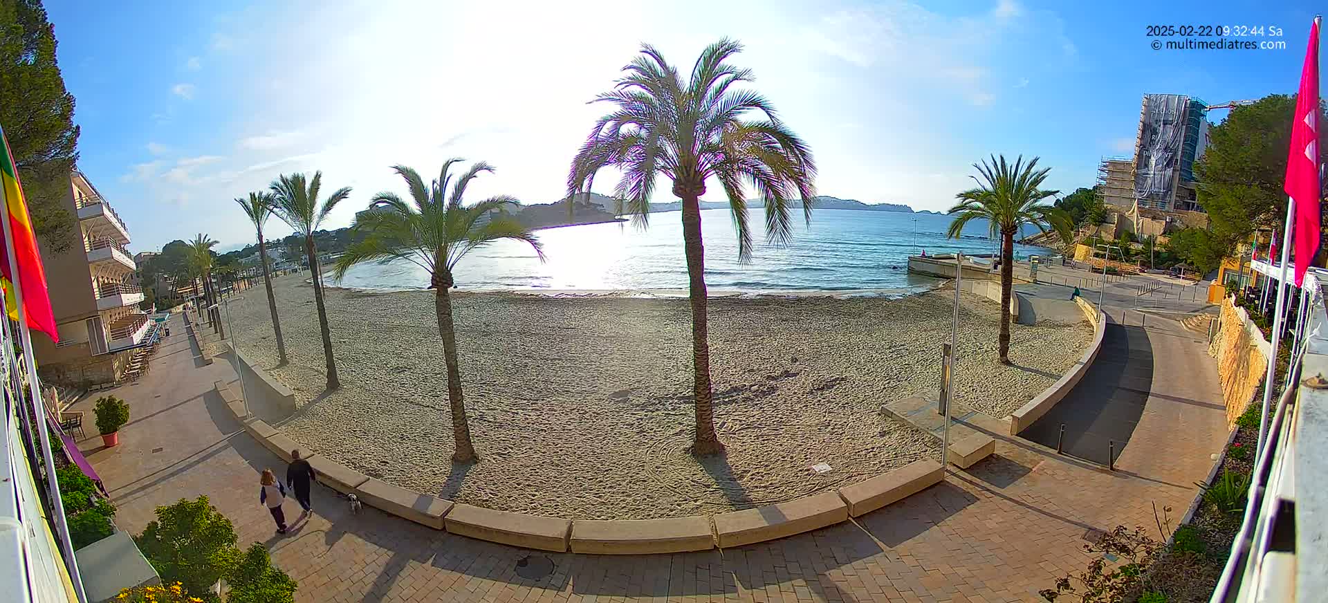 A sandy beach with palm trees and a paved walkway is shown on a sunny day, overlooking calm ocean water.