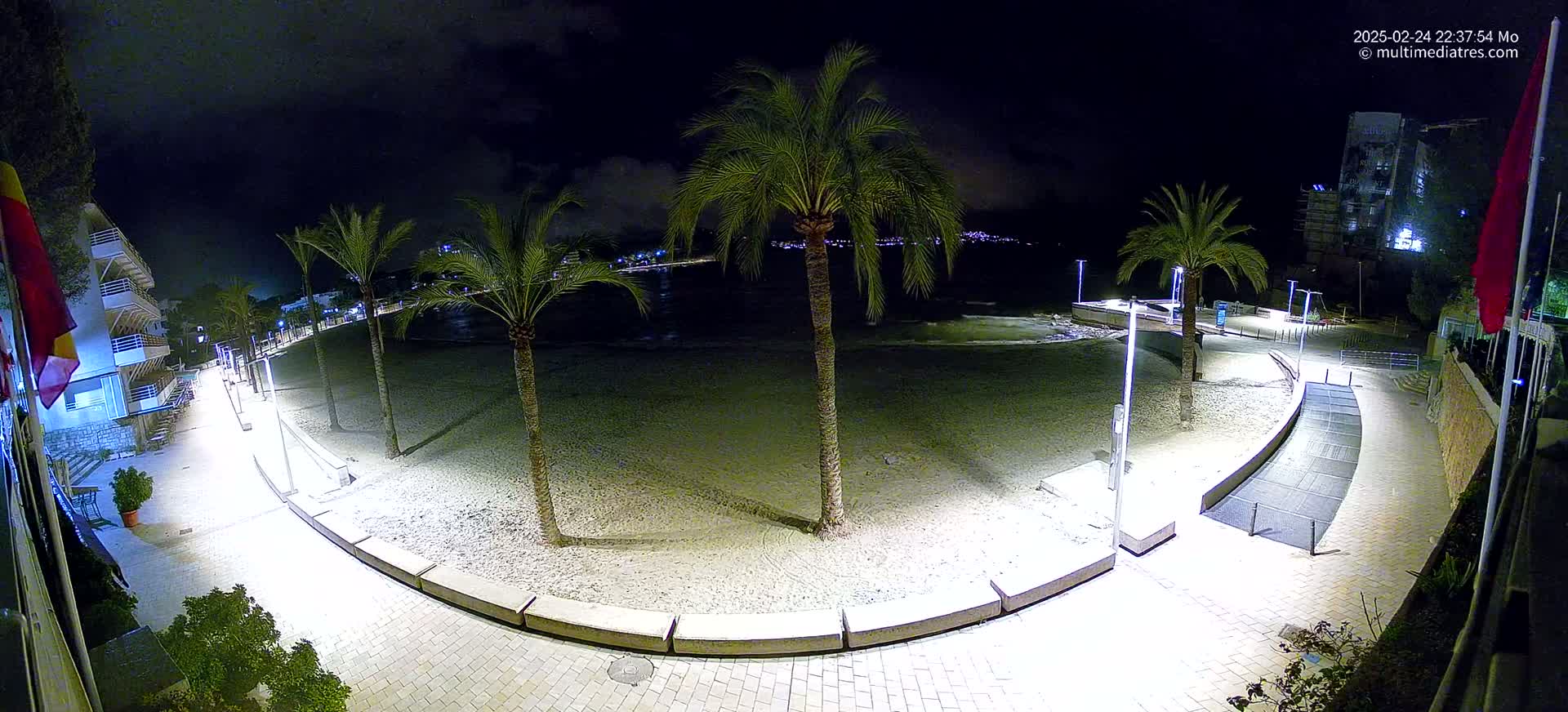 A nighttime view of a sandy beach with palm trees lining a paved walkway, illuminated by artificial lighting.