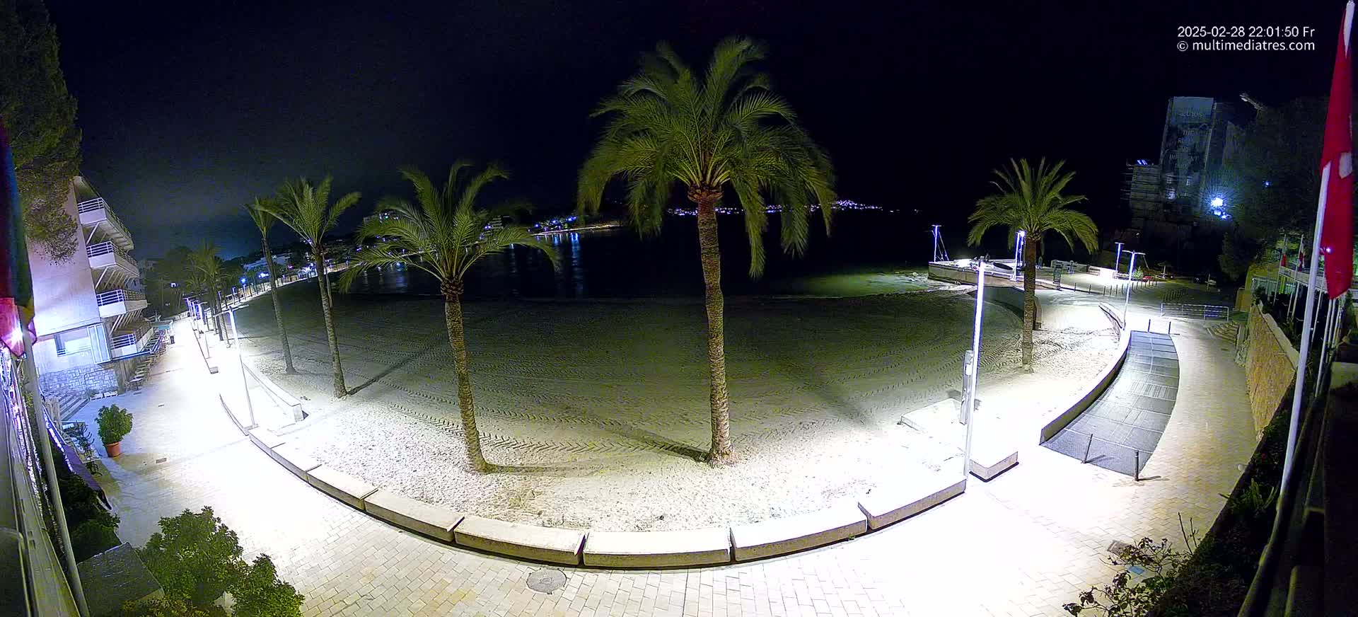 An empty, sandy beach at night is bordered by a paved walkway lined with palm trees and lit by streetlights.