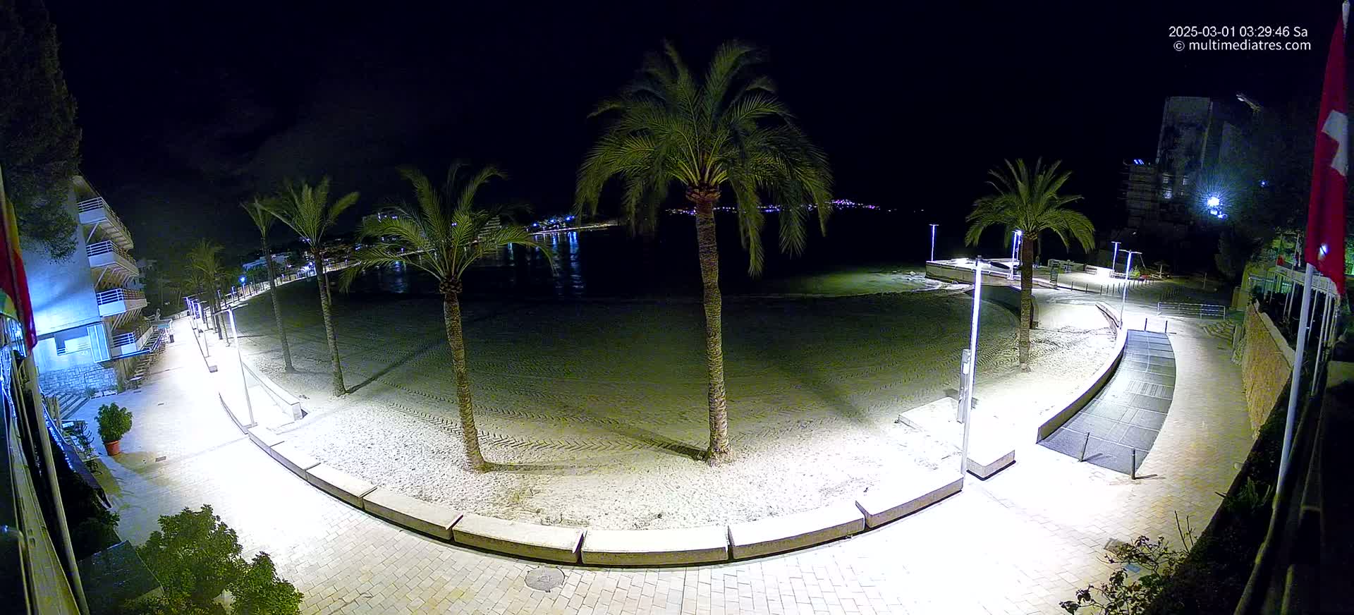 A nighttime view of a sandy beach bordered by a paved walkway lined with palm trees and lit by streetlights.