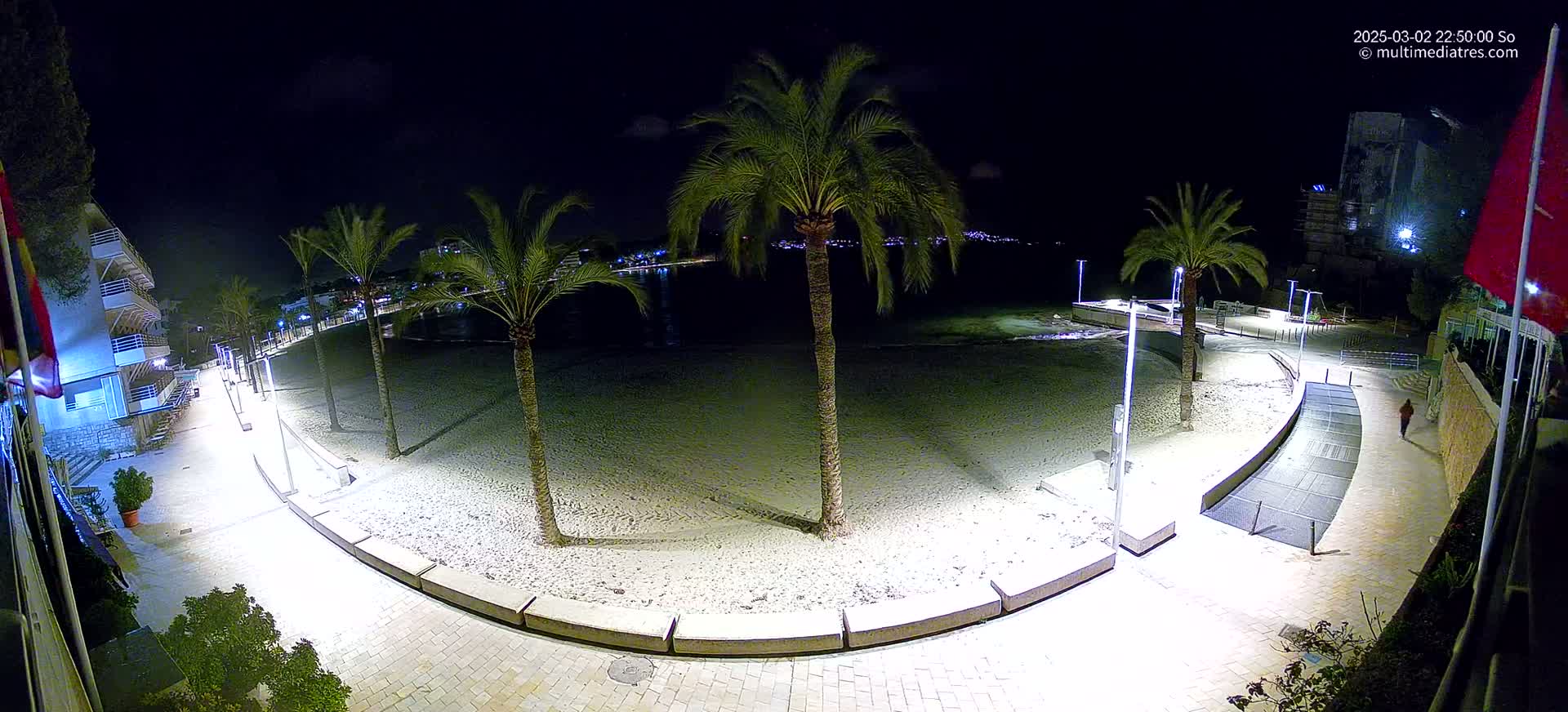 A nighttime, high-angle view of a sandy beach bordered by a paved walkway lined with palm trees and lit by streetlights.