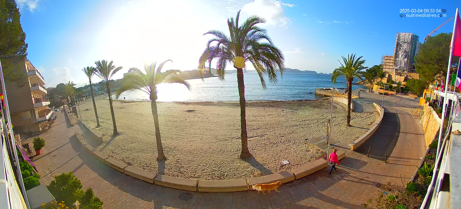 A sandy beach with palm trees and a calm sea under a mostly sunny sky is seen from above, with a person and dog walking along a paved path.