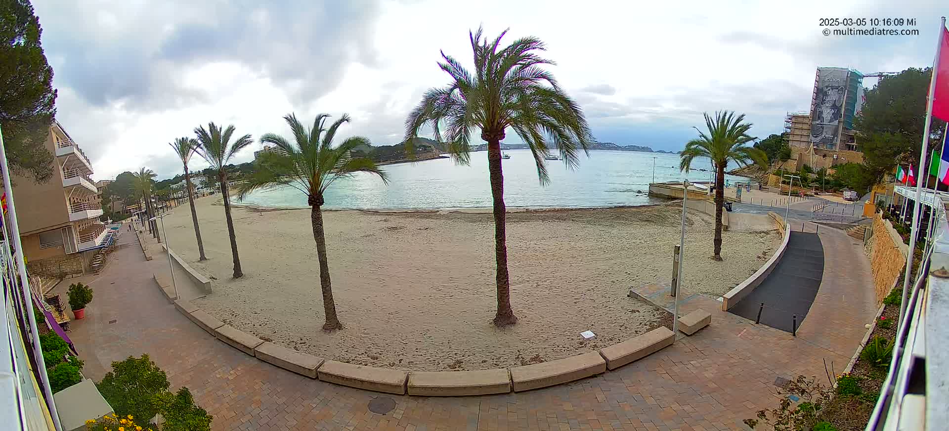 A sandy beach with palm trees overlooks a calm bay under an overcast sky.