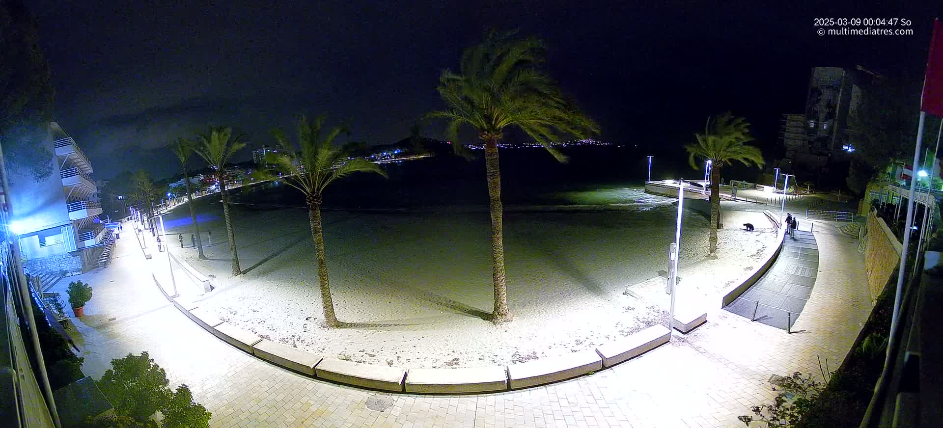 An empty, sandy beach at night is bordered by a paved walkway lined with palm trees and illuminated by streetlights, under a clear, dark sky.