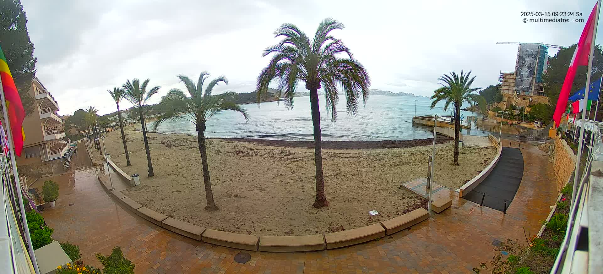 A sandy beach with several palm trees is partially submerged by water under an overcast sky.