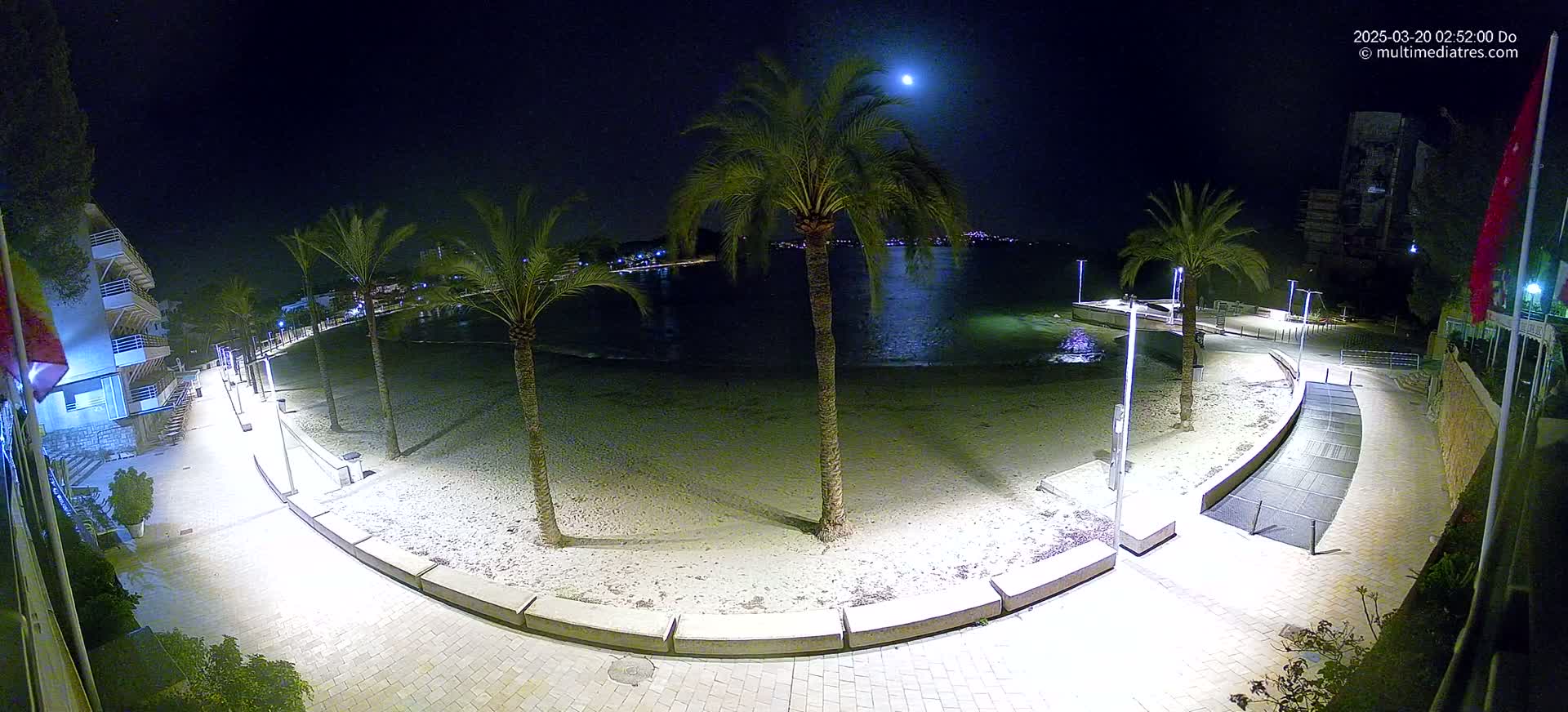 A nighttime view of a sandy beach, palm trees, and a paved walkway illuminated under a bright moon.