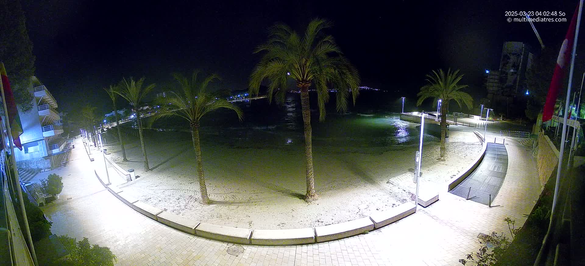 A nighttime view of a sandy beach at the edge of a paved walkway, lined with palm trees and buildings, under a clear, dark sky.