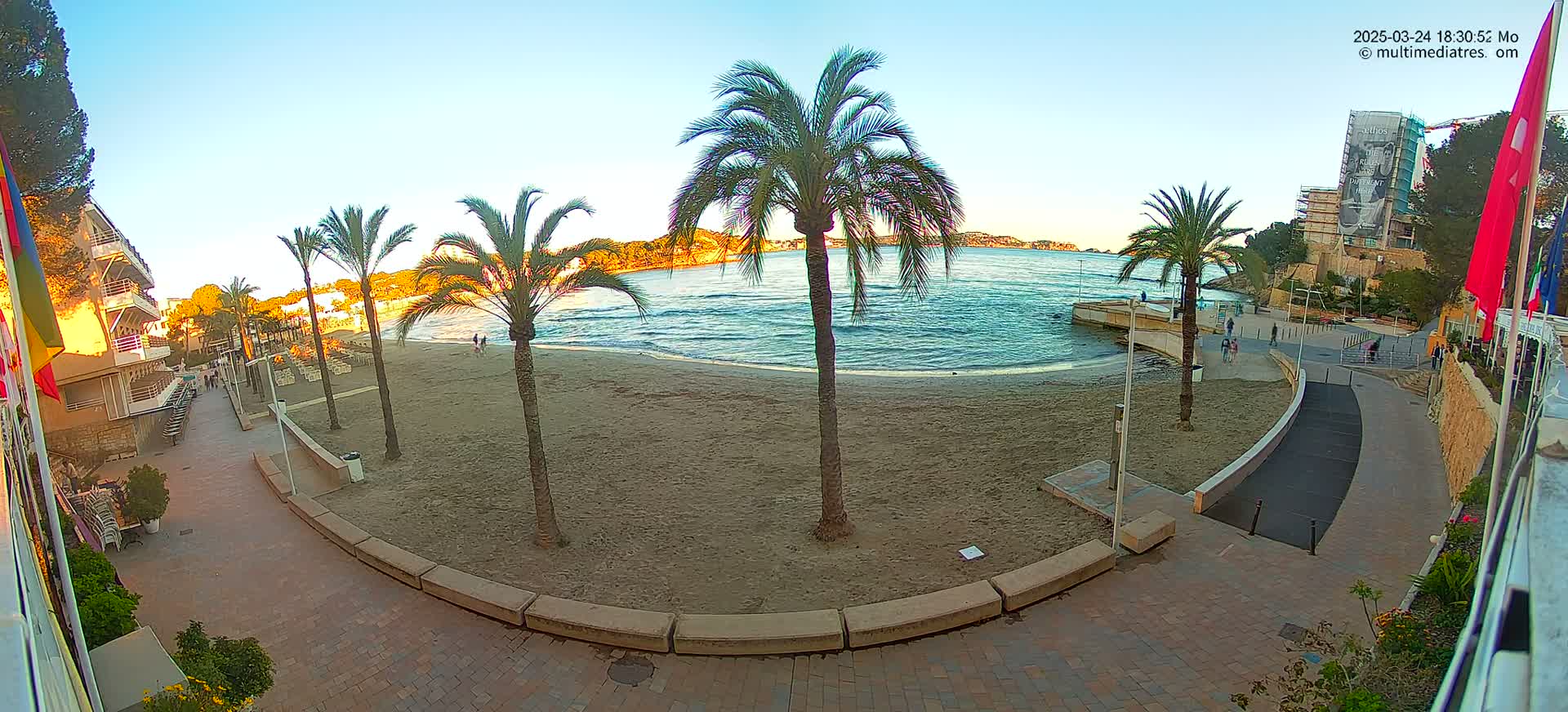 A sandy beach with palm trees and calm ocean waves under a clear blue sky is viewed from a seaside promenade.