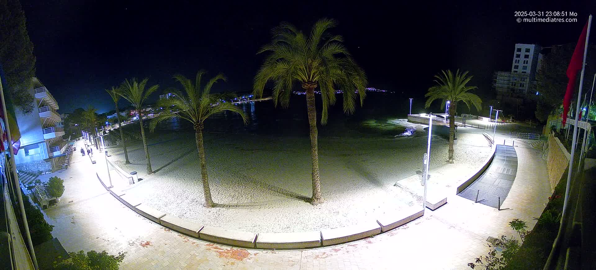 A nighttime, illuminated view of a sandy beach curving around a paved walkway, lined with palm trees and buildings, under a clear, dark sky.