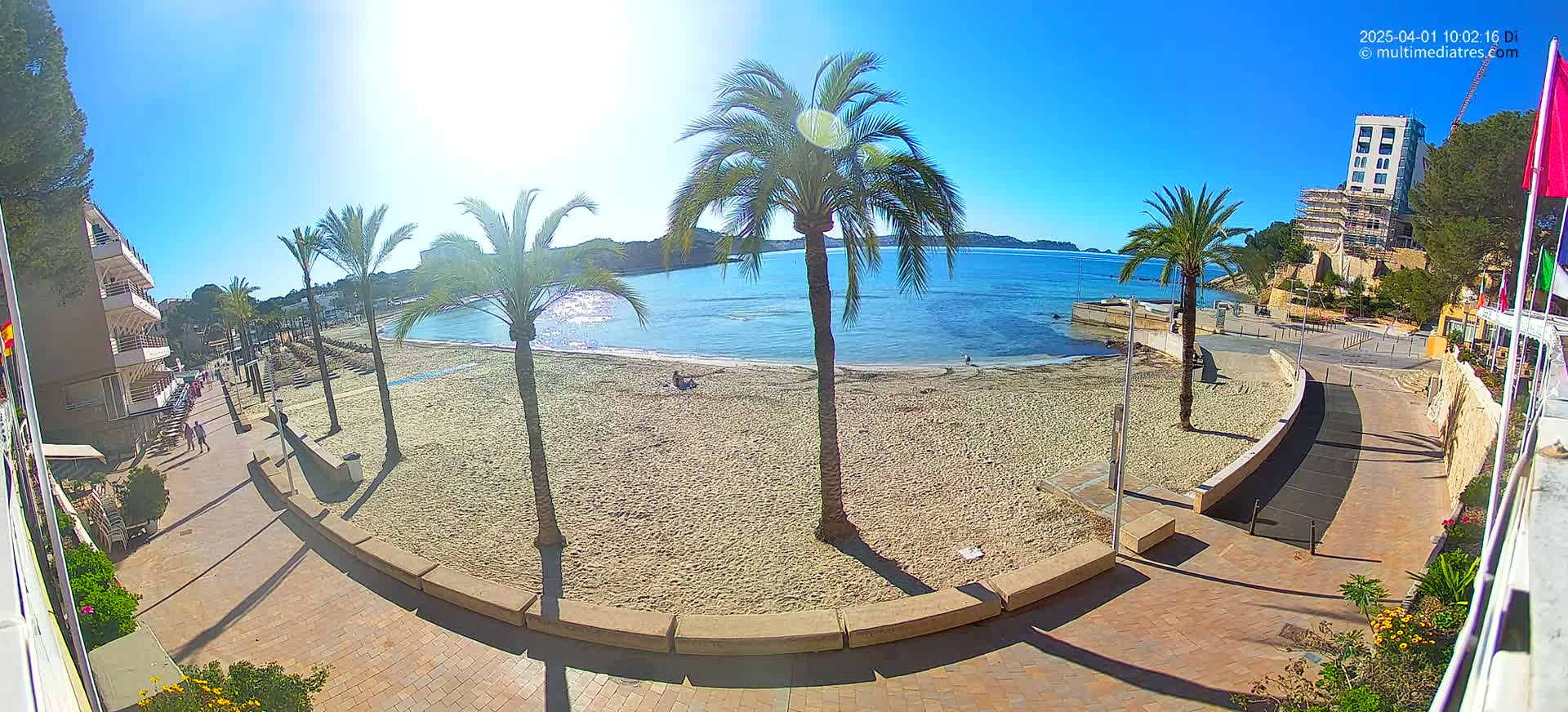 A sandy beach with palm trees and a calm, blue sea is viewed from above on a sunny day.