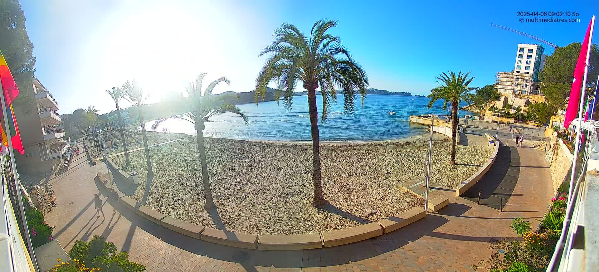 A sandy beach with palm trees and a calm, blue ocean is viewed from an elevated position on a sunny day.