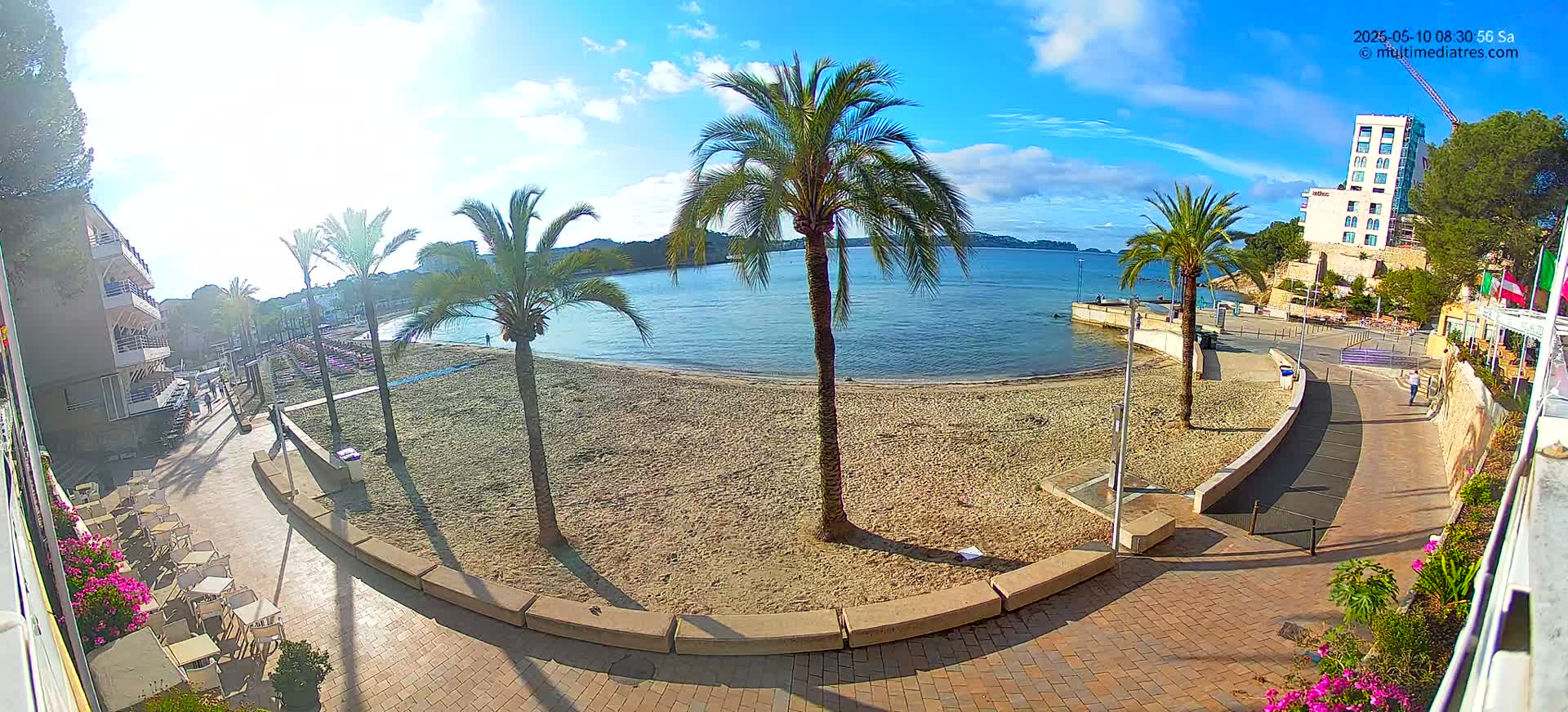 A sandy beach with palm trees and a paved walkway is seen on a sunny day, overlooking a calm body of water.