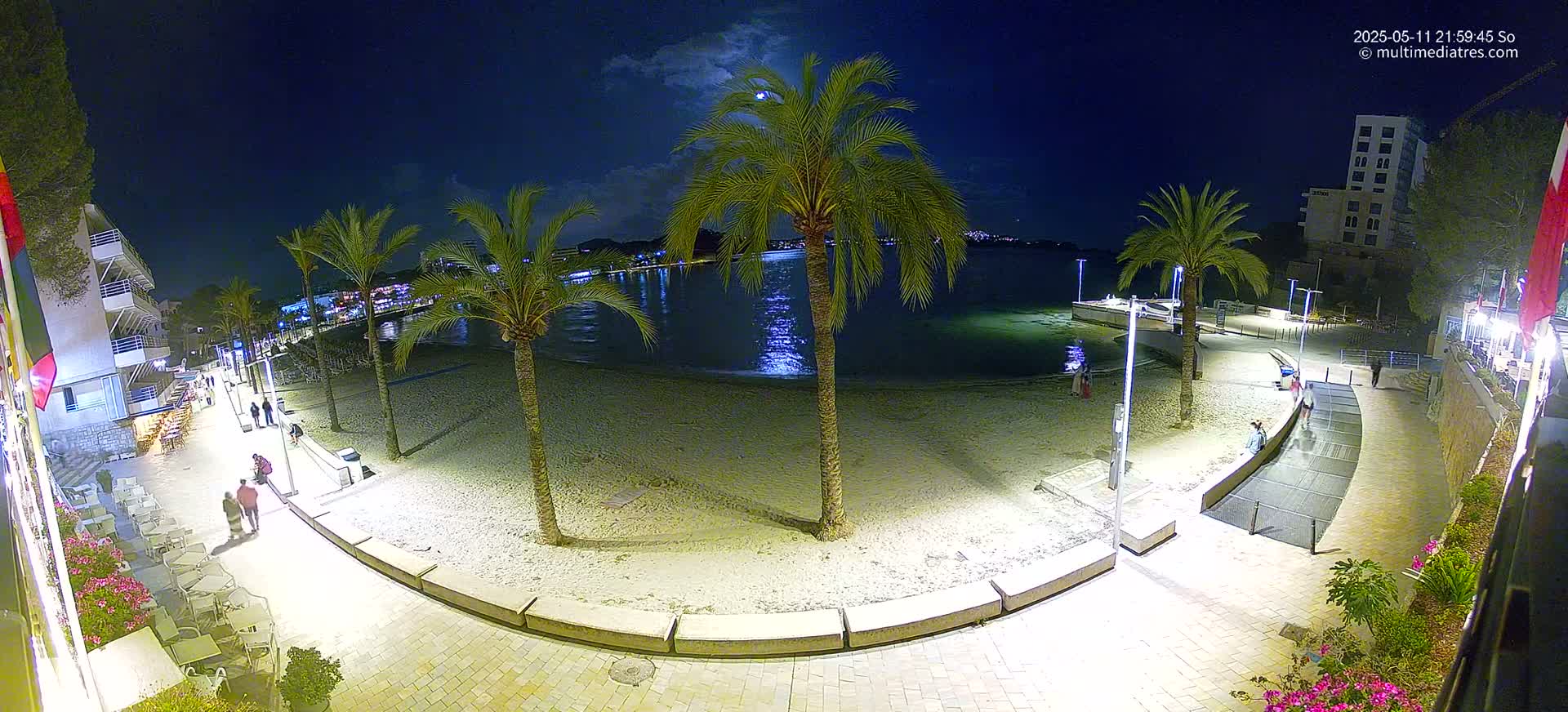 A moonlit beach at night, with palm trees lining a paved walkway next to a sandy shore and calm water.